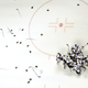 Image for article titled The Penguins Get The Cup They Deserved